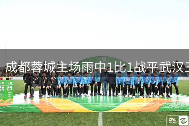 成都蓉城主场雨中1比1战平武汉三镇 韦世豪点球救主