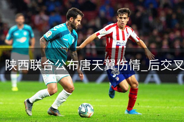 陕西联合公布唐天翼伤情 后交叉韧带断裂将休战近一年